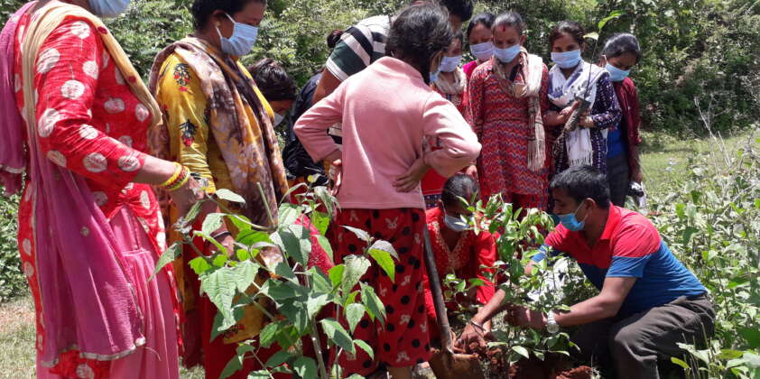 कृषिमा जलवायु परिवर्तनले असर न्यूनीकरणका उपाए ।