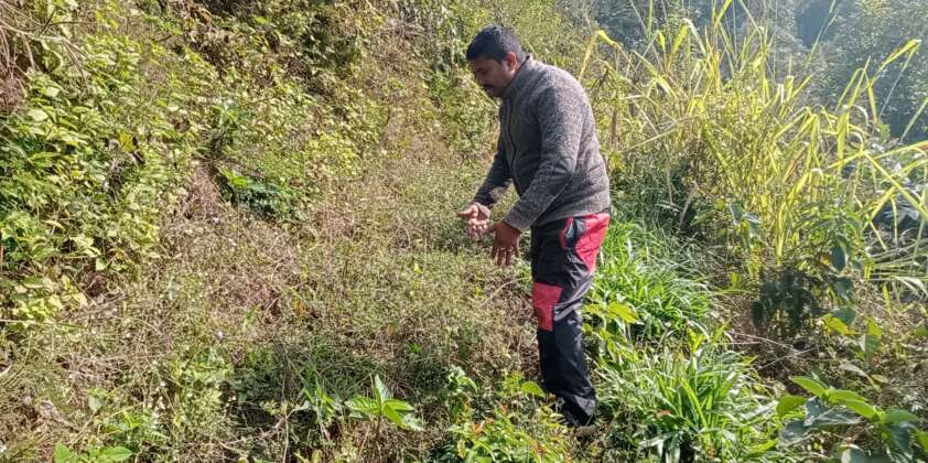 कृषिमा अनुदान कसरी लिने ?